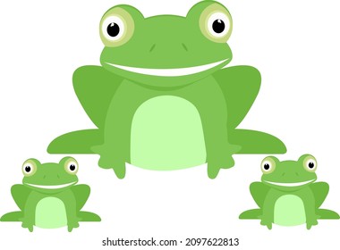 Green frog illustration, vector on a white background.