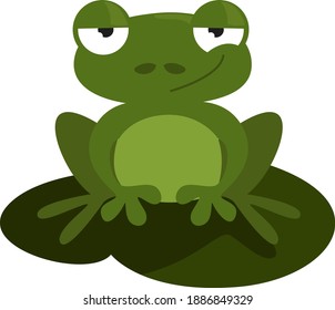 Green frog ,illustration,vector on white background