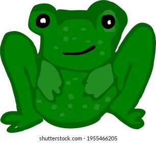 Green frog isolated animal vector