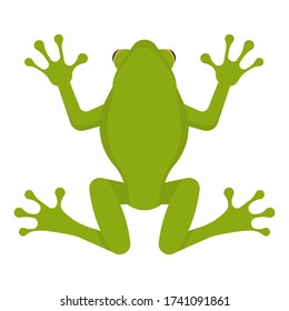 Green frog isolated on white background. Vector illustration. Eps 10.