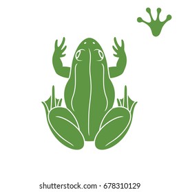 Green frog. Isolated frog on white background. Petrovich. EPS 10. Vector illustration

