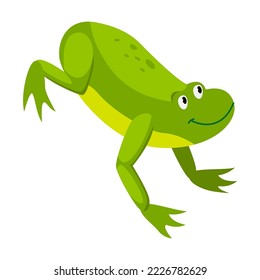 Green frog jumping. Cartoon vector illustration. Leaping toad on white background. Funny water animal. Nature, movement, amphibia, reptile, fauna concept for design svg