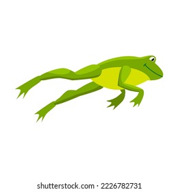 Green frog jumping for prey. Cartoon vector illustration. Leaping toad on white background. Funny water animal. Nature, movement, amphibia, reptile, fauna concept for design svg