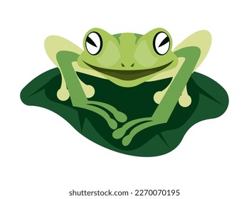 green frog in leaf floating