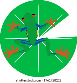 A green frog with a leaf vector
