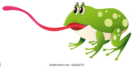 Green frog with long tongue illustration