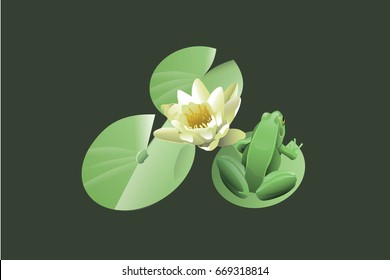 green frog with lotus 