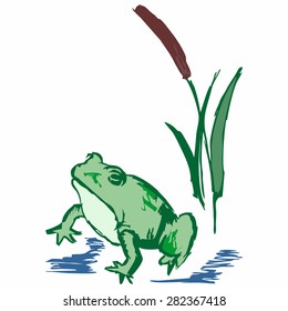 Green frog near the reeds. Doodle style