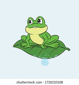 green frog on leaf hand draw vector illustration