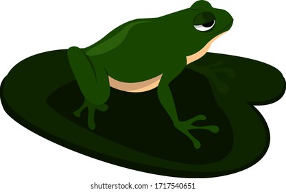 Green frog on lotus, illustration, vector on white background