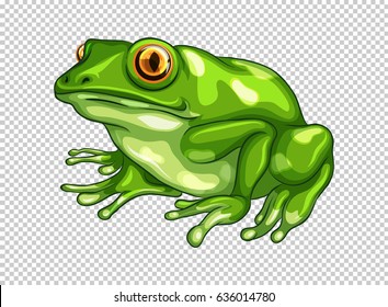 Green frog on transparent background illustration