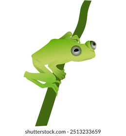 Green frog on a tree branch