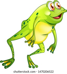 Green frog on white background illustration