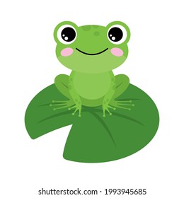 Green frog on a white background. Vector illustration 