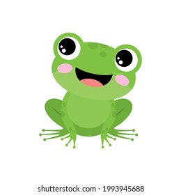 Green frog on a white background. Vector illustration 