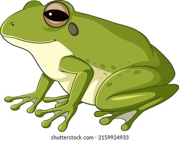 A green frog on white background illustration