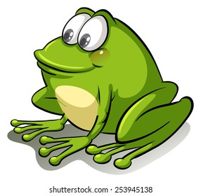 Green frog on a white background