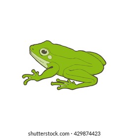 Green frog. Outline with color background. Vector illustration.