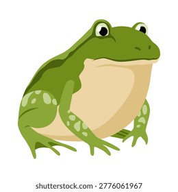 Green frog perched ready to leap, textured skin and bulging eyes, muscular hind legs coiled, predator and insect controller in marsh habitat, studio white