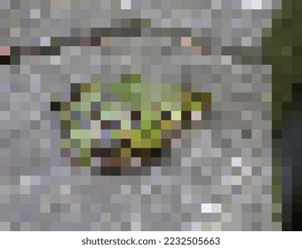 Green frog in pixels, frog in pixels sitting on asphalt, gray asphalt in pixels