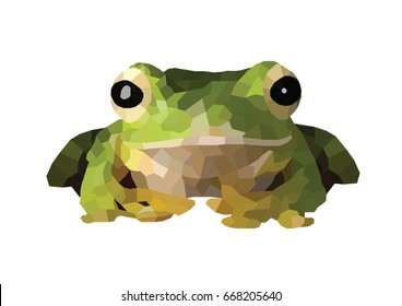Green Frog Polygon