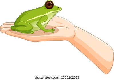 A green frog sits calmly on a hand