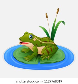Green frog sits on a leaf in the pond