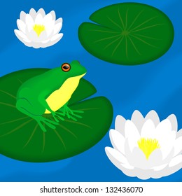 Green frog sits on a leaf in a pond, vector illustration