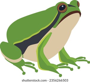 Green frog. Sitting amphibia. Wild animal icon svg