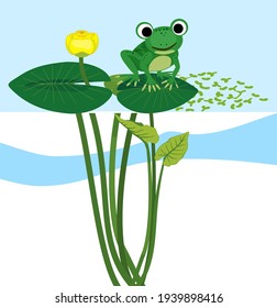 Green frog sitting on leaf of blooming Yellow water-lily plant