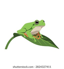 Green frog sitting on a leaf isolated illustration vector graphic wildlife nature