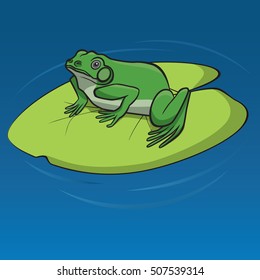 Green frog sitting on the leaf of water lily in the pond