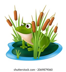 A green frog sitting on a lily pad in a pond with reeds in the marsh grass. Vector illustration of a cartoon character in a shrub of bulrush isolated on a white background