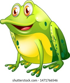 Green frog sitting on white background illustration