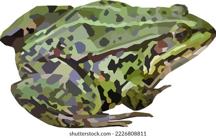 Green frog sitting on a white background, green frog mosaic, frog in green tones, green frog resting