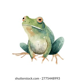 A green frog sitting on white surface