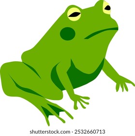 Green frog in a sitting position with yellow eyes