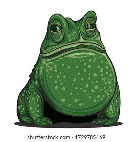 green frog sitting. vector illustration