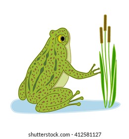 Green frog sitting in the water surrounded by reeds. The patchwork frog