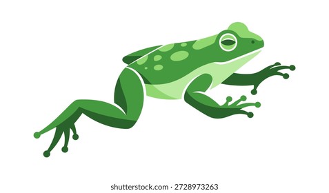 Green frog with spots and distinct legs
