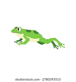 Green frog with spotted back and pale underbelly toad