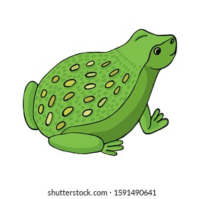 Green frog toad, in cartoon style, on a white background coloring book. Hand drawing coloring book for adults and children. Vector. One of a series of drawn paintings. For the design of books