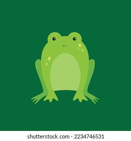 Green frog, toad sitting - illustration