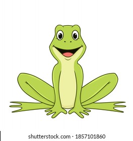green frog. vector illustration character in cartoon style. isolated on white background
