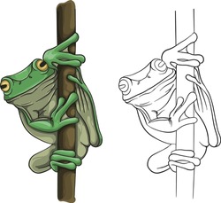 Green Frog Vector And Frog Sketch, Usually Used For Graphic Design, Decoration, Elements And Background Purposes