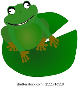 Green frog, yellow feet, isolated on lotus leaf amphibian vector illustration  background.