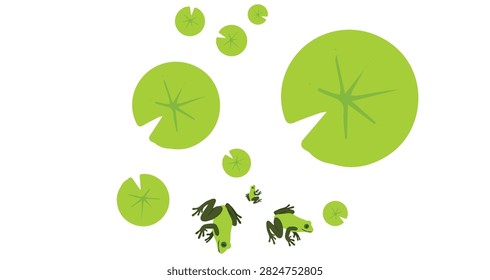 green frogs resting on dark calm water surrounded by bright green round lily pads in peaceful natural pond setting