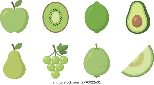Green Fruit Collection Vector Illustration With Apple Kiwi Lime Avocado Pear Grapes Guava And Melon Slice