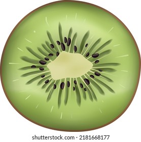 green fruit. food. piece of kiwi vector illustration. icon