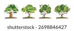 Green Fruit Tree Flat with Trunk and Ripe Crop Vector Set
